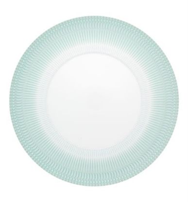 Picture of New Dinner Plate