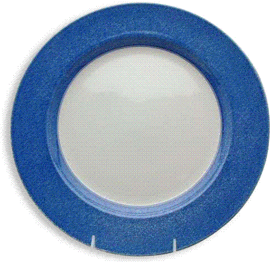 Picture of New Service Plate 12"