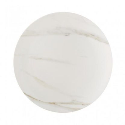 Picture of New Dinner Plate