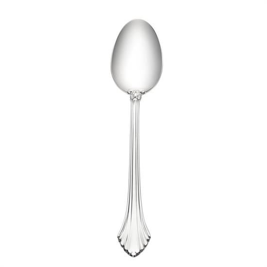 Picture of New Place Spoon