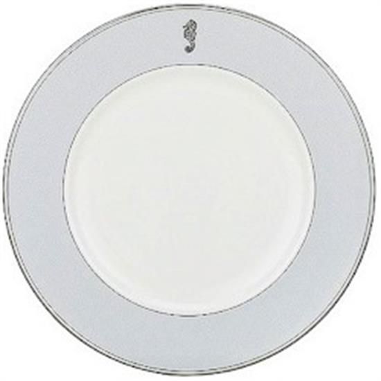 Picture of Dinner Plates