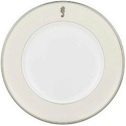 Picture of Dinner Plates