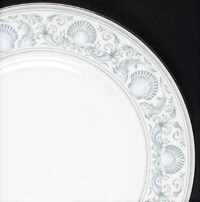 Picture of Dinner Plates