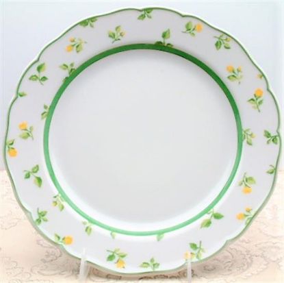 Picture of Dinner Plates
