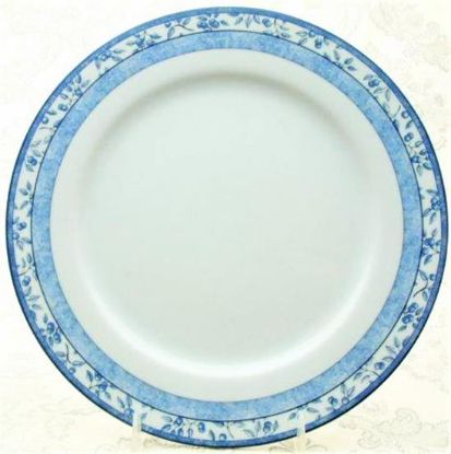 Picture of Dinner Plates