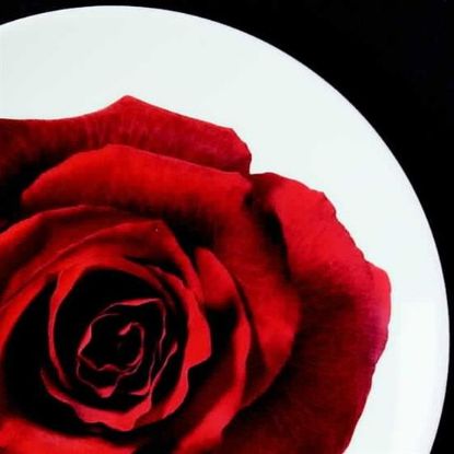 Picture of Dinner Plates