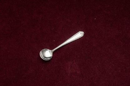 Picture of Ind. Salt Spoon