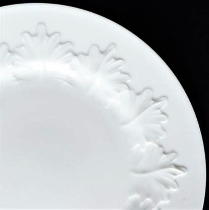 Picture of Dinner Plates