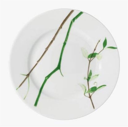 Picture of New Salad Plates