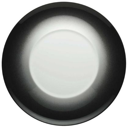 Picture of New Service Plate 12"