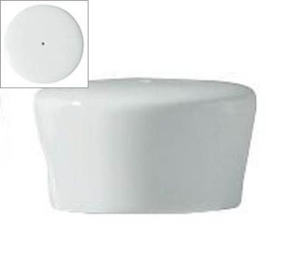 Picture of New Pepper Shaker