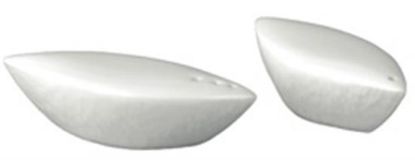 Picture of New Salt Shaker