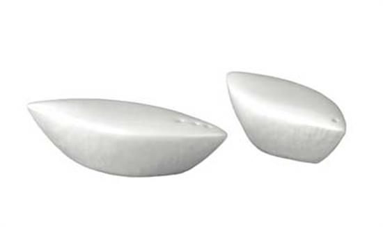 Picture of New Salt Shaker