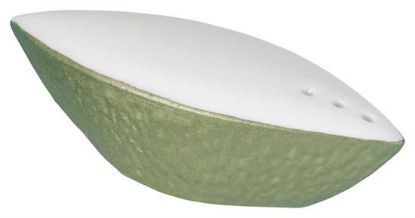 Picture of New Salt Shaker