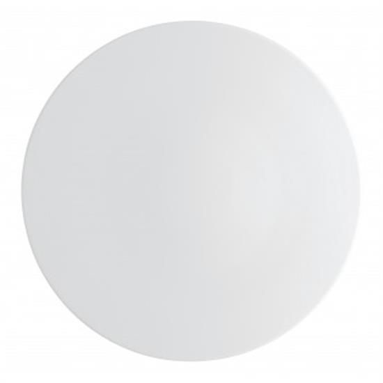 Picture of New Service Plate 12"