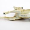 Picture of Vintage Johanson Roth Porcelain 'German Shepherd' Dog Figurine
