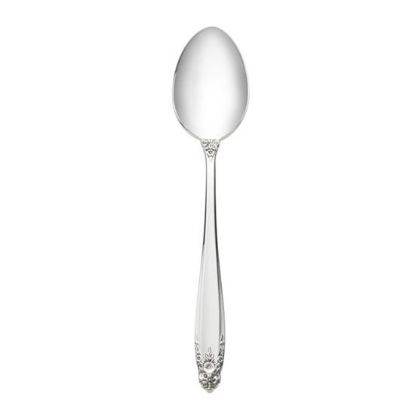 Picture of New Place Spoon