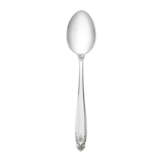 Picture of New Place Spoon
