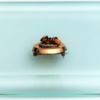 Picture of Victorian Era Gold Filled Brooch With Branch Coral Center