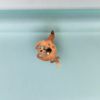 Picture of Vintage 14K Yellow Gold, Enamel & Diamond Shriners Lapel Pin