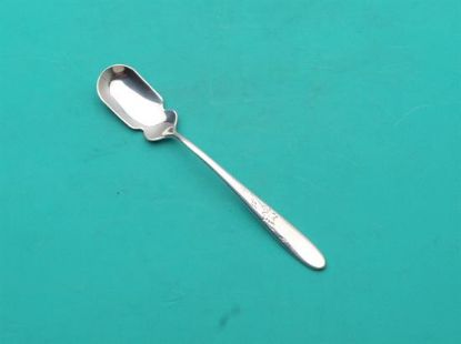 Picture of Relish Scoop
