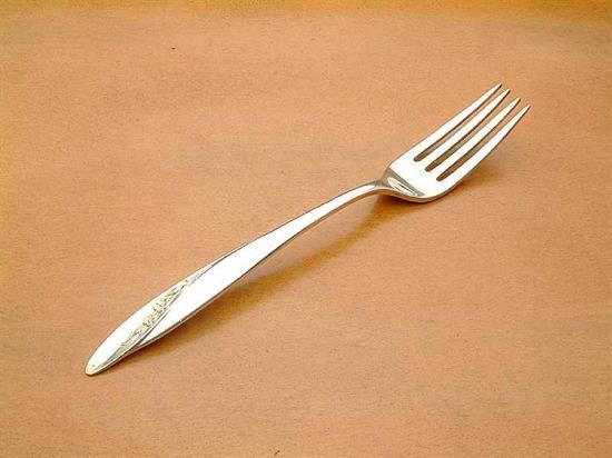 Picture of Place Forks