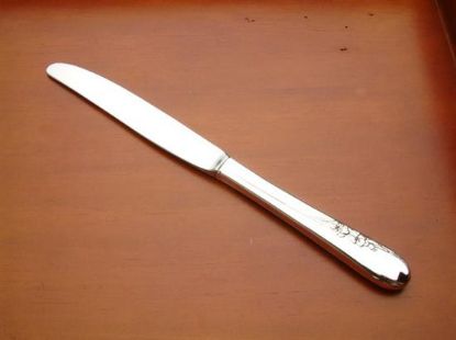 Picture of Dinner Knives Modern