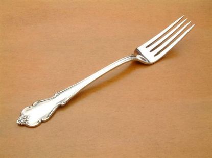 Picture of Place Forks: