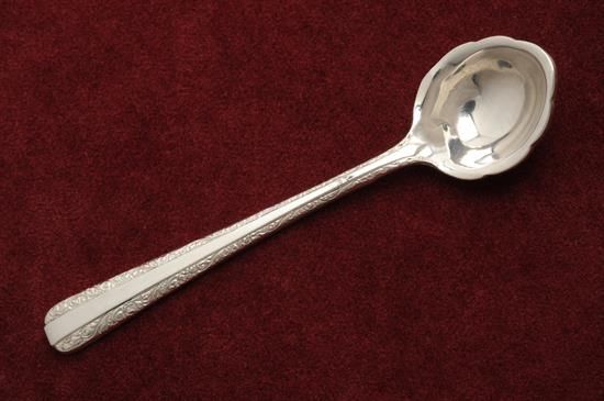 Picture of Ind. Salt Spoon
