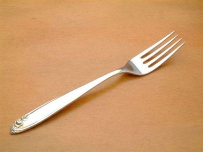 Picture of Place Forks: