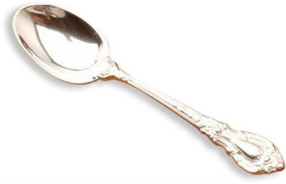 Picture of Ind. Salt Spoon
