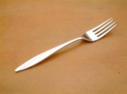 Picture of Place Forks