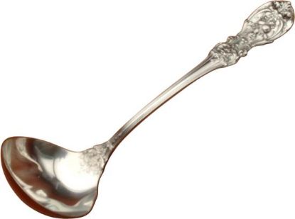 Picture of Sauce Ladle
