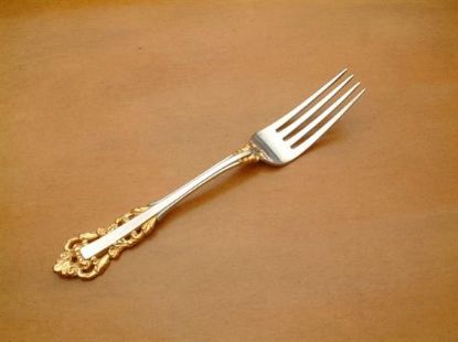 Picture of Place Forks: