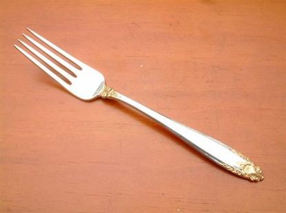 Picture of Place Forks