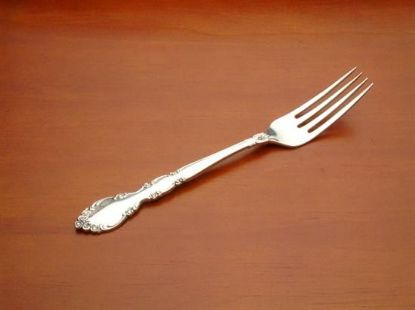 Picture of Place Forks