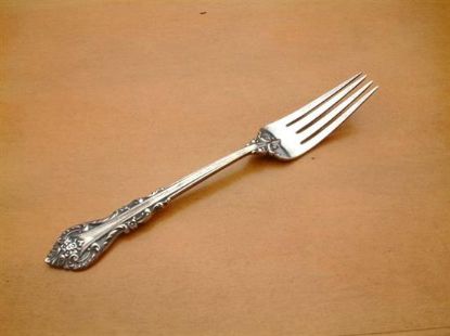 Picture of Place Forks: