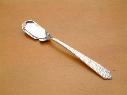 Picture of Relish Scoop