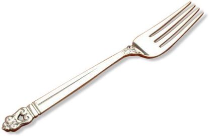 Picture of Place Forks