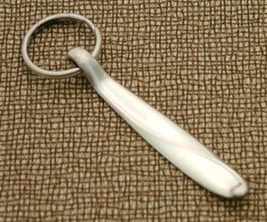 Picture of Key Chain Ring