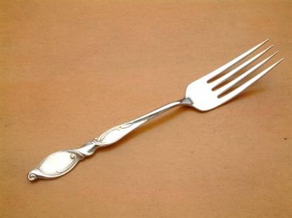 Picture of Place Forks