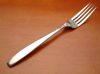 Picture of Place Forks