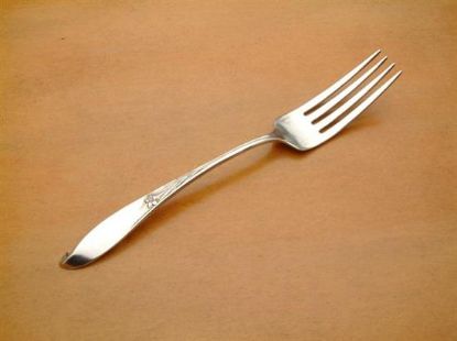 Picture of Place Forks: