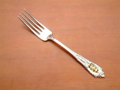 Picture of Place Forks: