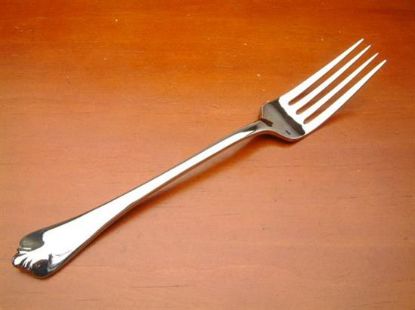 Picture of Place Forks