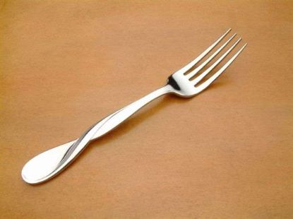 Picture of Place Forks