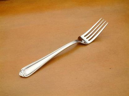 Picture of Place Forks: