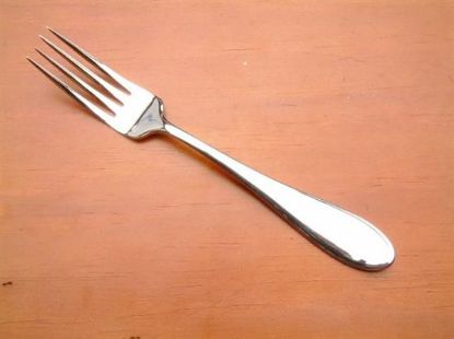 Picture of Place Forks