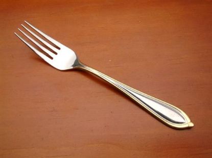 Picture of Place Forks: