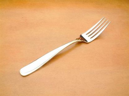 Picture of Place Forks: